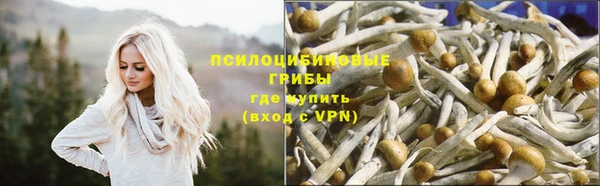 гашиш Корсаков