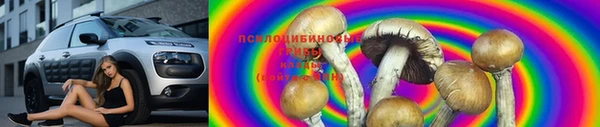 тгк Костерёво
