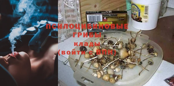 тгк Костерёво