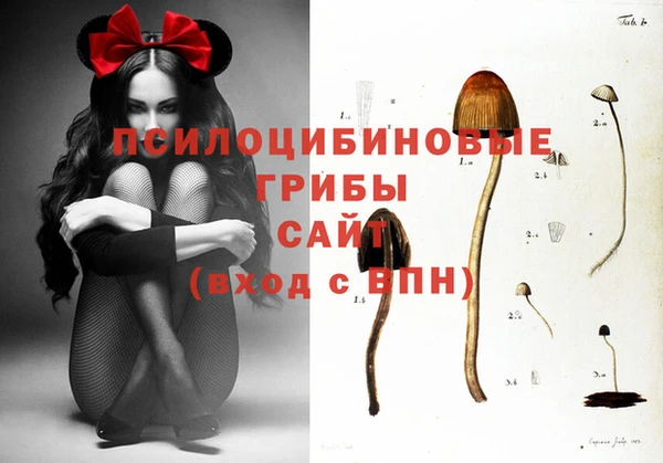 герыч Коряжма