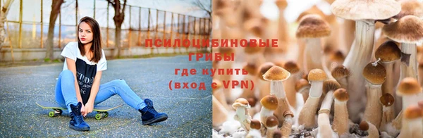 герыч Коряжма