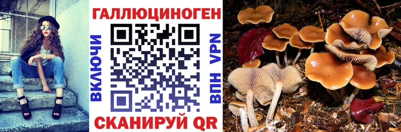 Галлюциногенные грибы мухоморы  Чекалин 